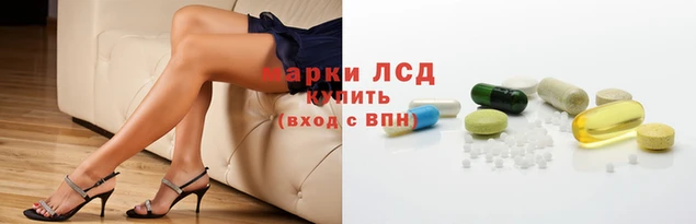 apvp Аркадак