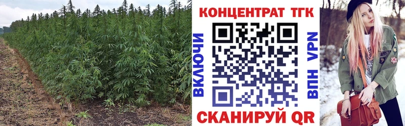 Дистиллят ТГК Wax  Купить  Нерчинск 